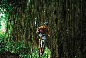 Bali Cycling Tours Around Bongkasa Pic