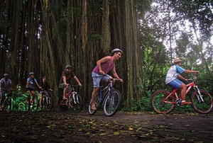 Bali Cycling Tours Banyan Tree Visiting Pic