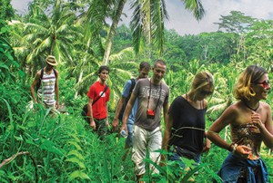 Bali Trekking in Ubud Rice Paddies