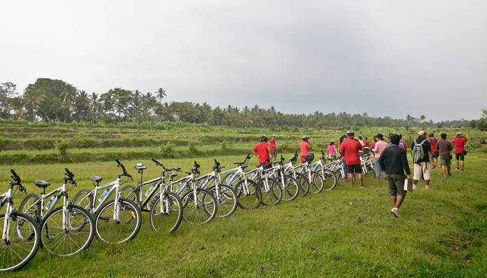 Bali Outbound Bongkasa Cycling Feature