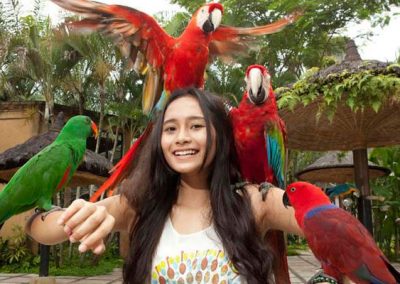 Object Wisata di Ubud Bali Bird Park